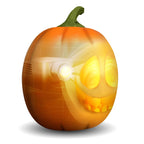 LM0000002397_4