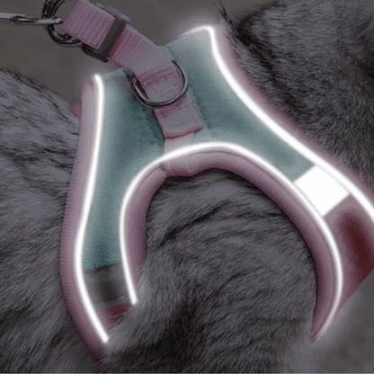 LM0000001332_11