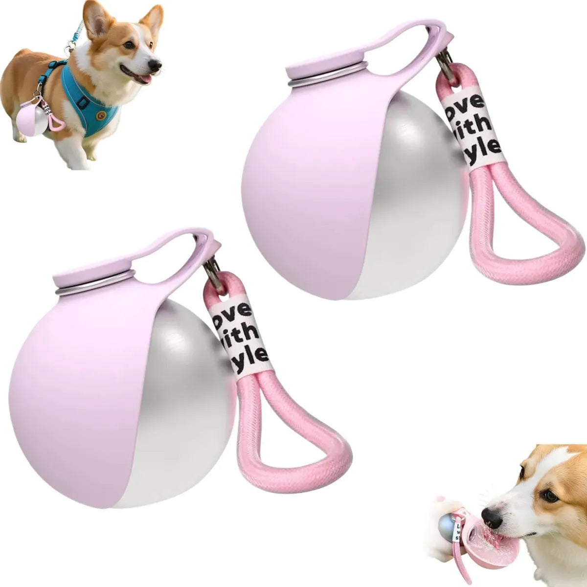 LM0000001312_7
