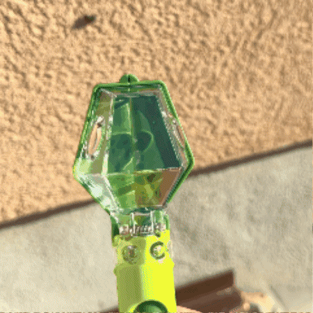 LM0000000781_2