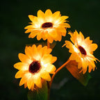 LM0000001222_2