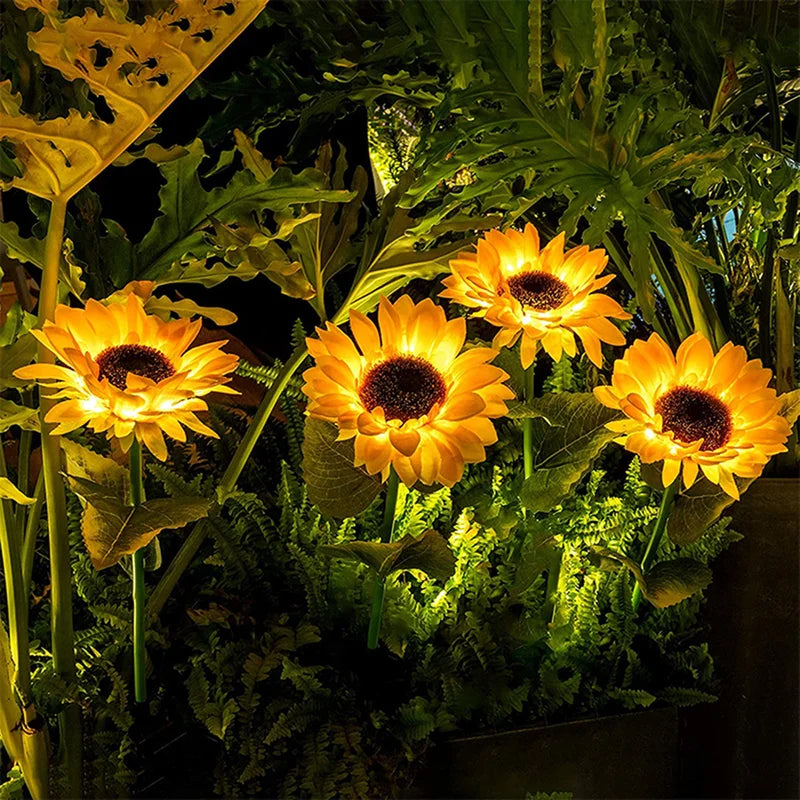 LM0000001222_1