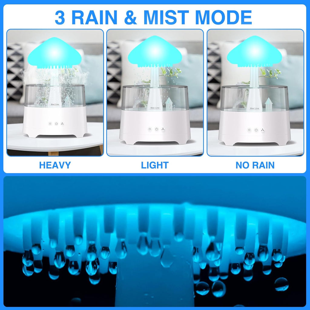LM0000002459_4